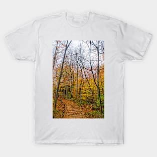 Wooden Pathway Through the Forest T-Shirt